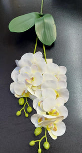 Fir Orhidee Artificială Real Touch Alb-Galben Crem